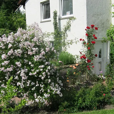 Gastehaus Nathalie Guest house Bad Duerrheim